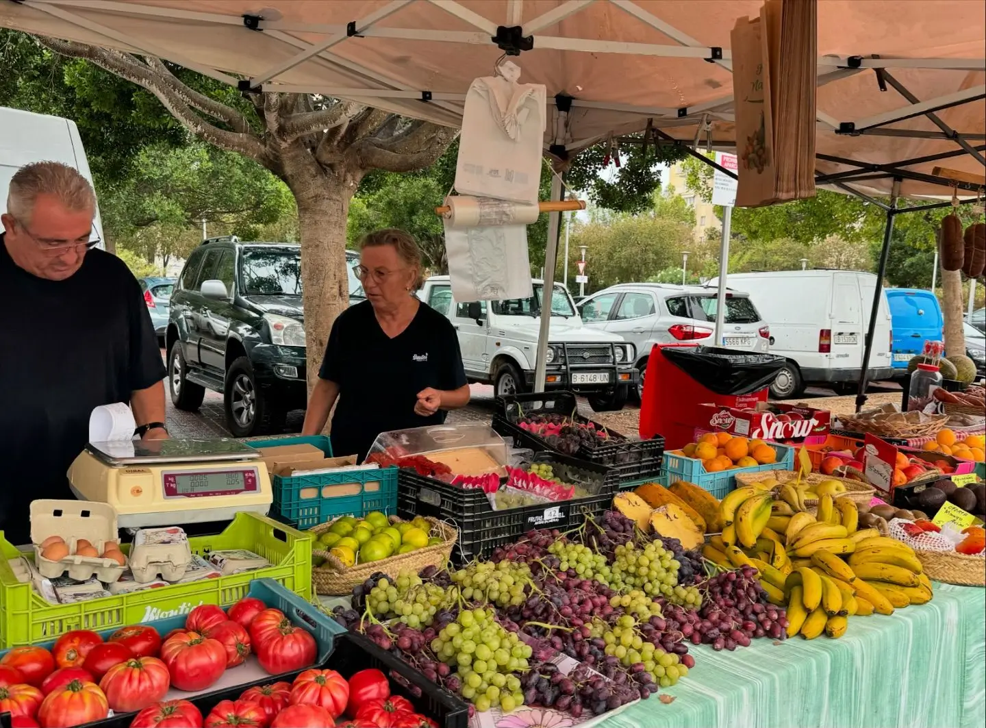 daily markets in Calvià