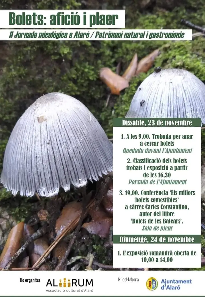 exposición bolets alaró