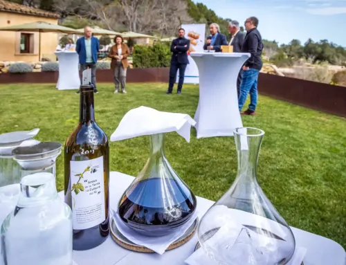 Fira del Vi Pollença 2025: fechas de la cita imprescindible para los amantes del vino