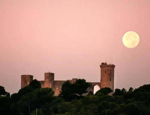 Nits a Bellver 2025: música, danza y teatro bajo las estrellas de Palma