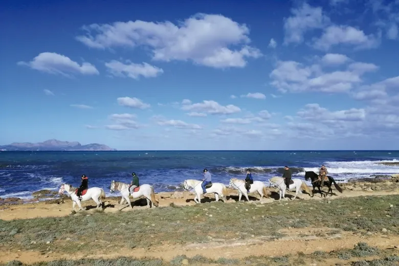Paseos a caballo Mallorca