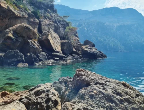 Las 10 mejores actividades al aire libre en Mallorca: una isla para cuidarla