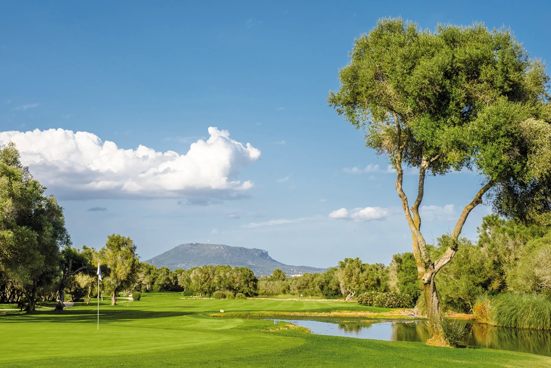 Golf Son Antem