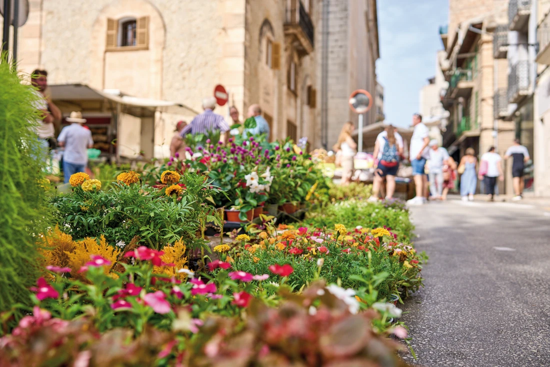 Inca cultural plans mallorca