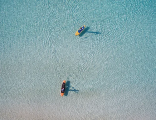 Magaluf Festivities 2026: full programme from 14th to 16th August