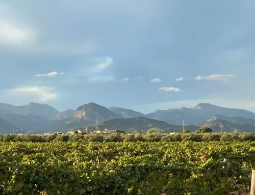 Fira de Tardor and Fira del Vi of Consell 2025: tradition, art, and wine in Mallorca