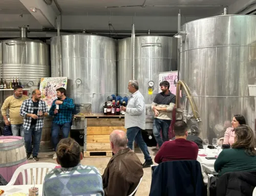 Festa del Vi Novell y Brot de Pi 2025 en Santa Maria del Camí: programa completo