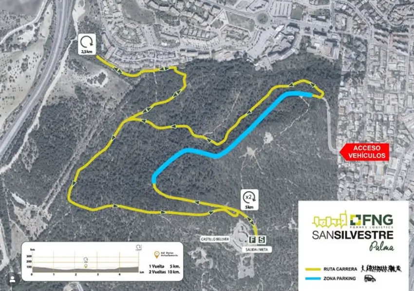 san silvestre palma 2025 route