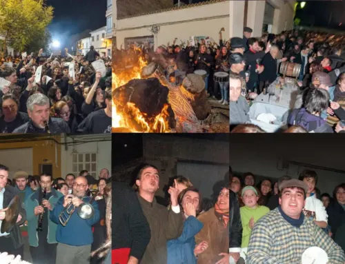 Sant Antoni 2026 en Manacor: programa completo, beneïdes y fechas clave