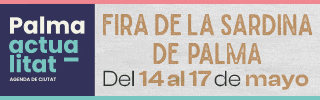 ayuntamiento palma