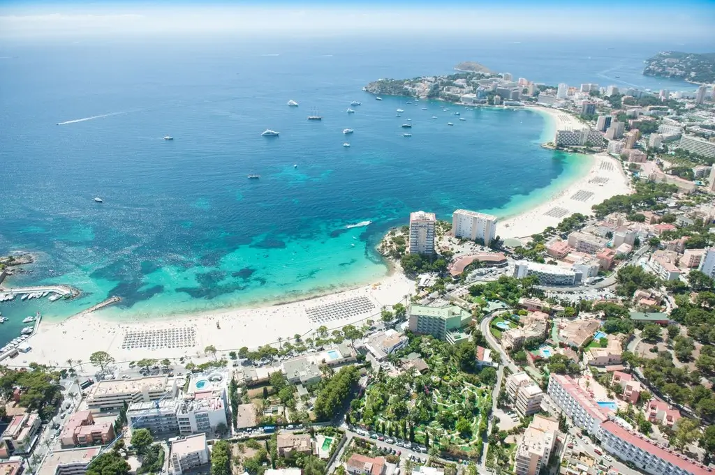 calvia playas vigilancia app