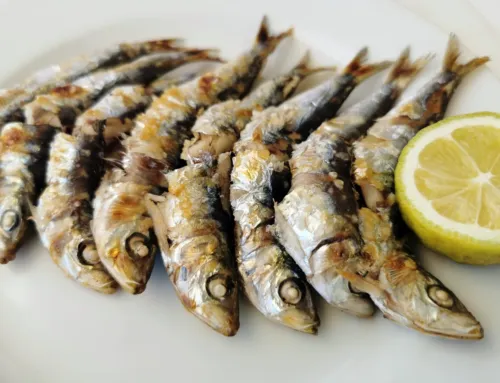 Sardine Fair Palma 2026: gastronomy, live music and seaside tardeos at Moll de Pescadors