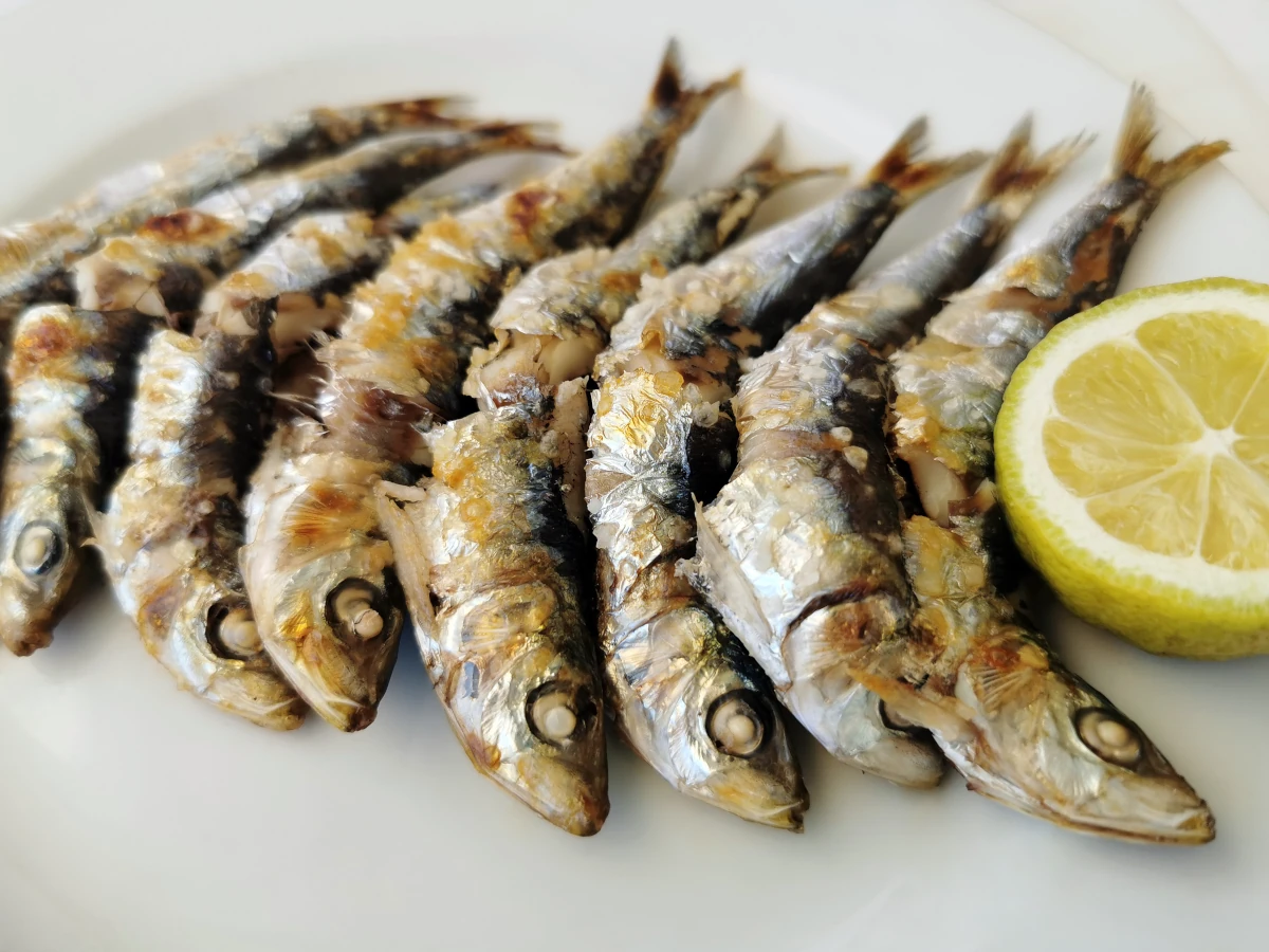 fira sardina en palma