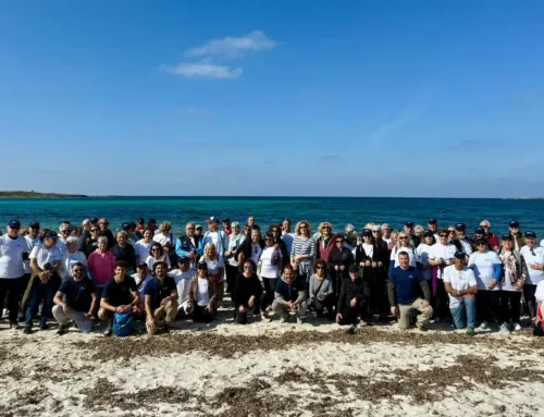 Consell de Mallorca launches “Petjades”, a new hiking programme for over-60s