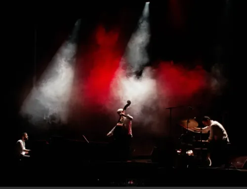 Concerts a Palau 2026: cuatro conciertos en el Palau del Consell de Mallorca