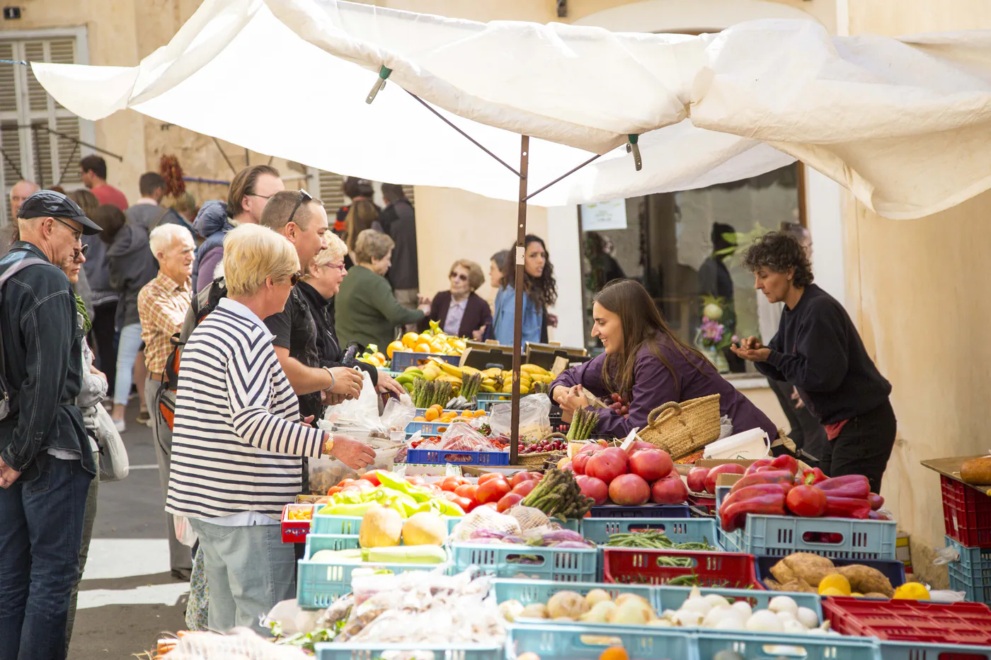 Sineu market