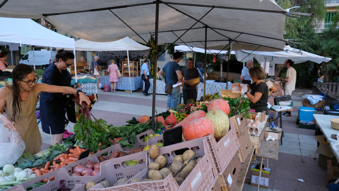 organic market in Plaça dels Patins