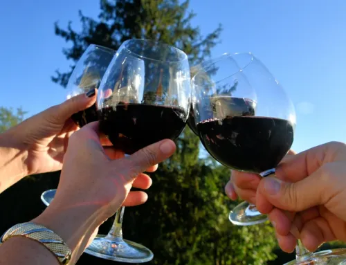Nit del Vi 2026: vinos mallorquines, jazz y gastronomía en La Misericòrdia