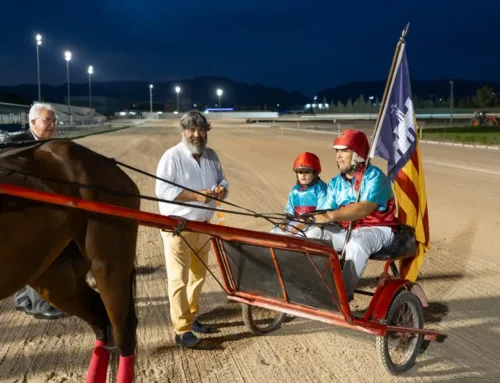 Trotting races at Son Pardo on 26th September 2026: timetable and major races
