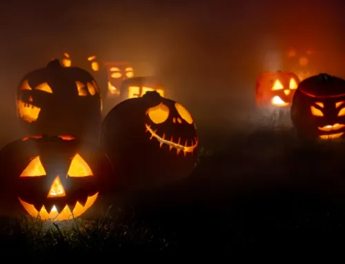 Halloween in Calvià 2026: Parties and Things to Do