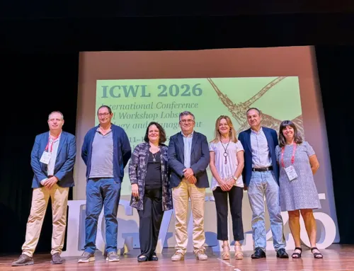 ICWL 2026: International Lobster Conference Comes to Mallorca