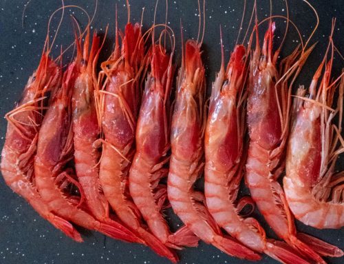 The Gastronomic Days of the Sóller Prawn highlight its star product